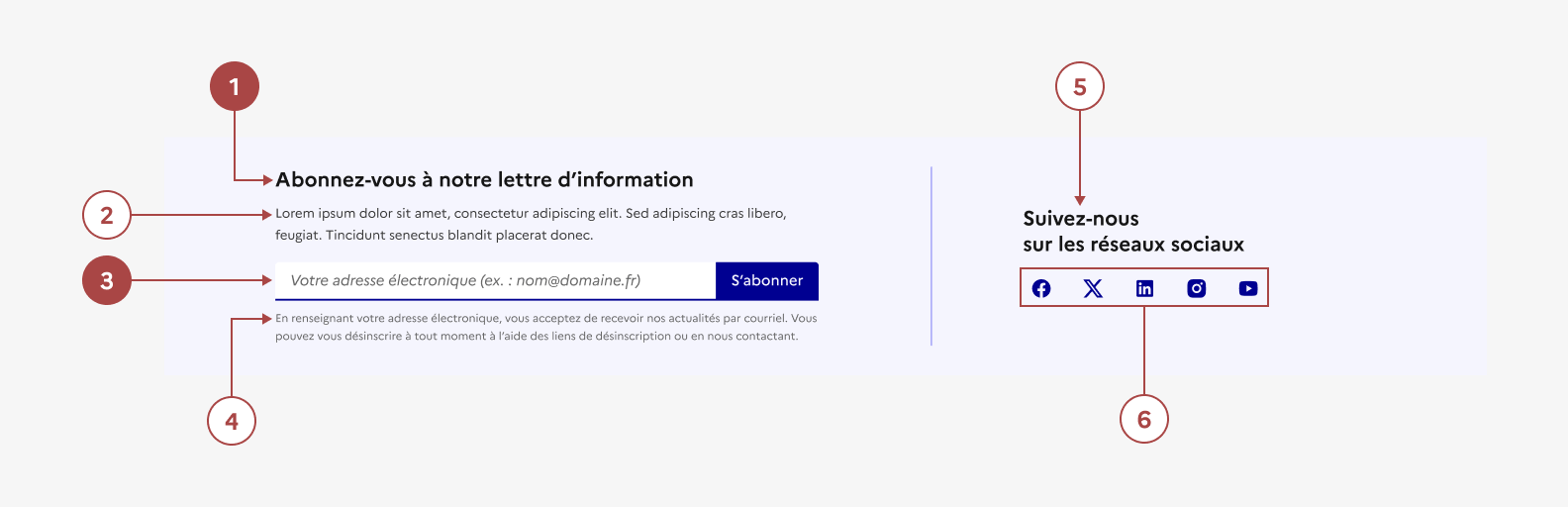 Anatomie de la lettre d'information et des réseaux sociaux