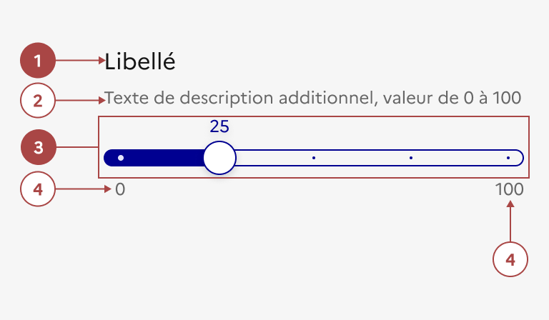 Anatomie du bouton