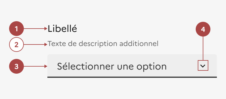 Anatomie de la liste déroulante