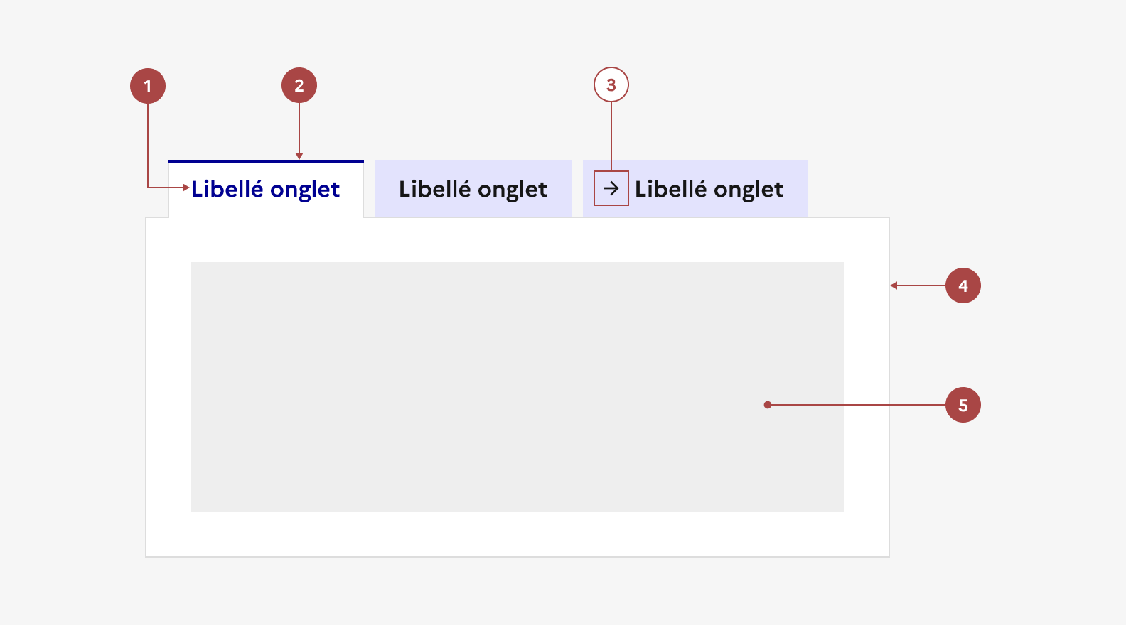 Anatomie de l'onglet