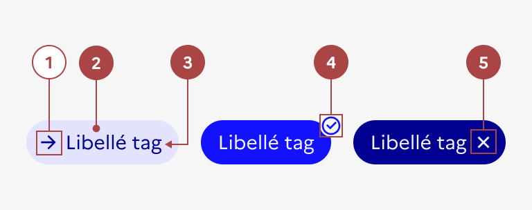 Anatomie du tag