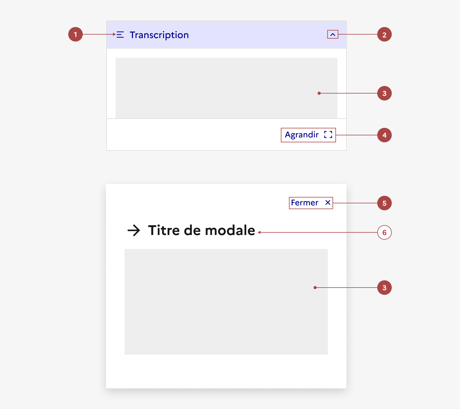 Anatomie de la transcription